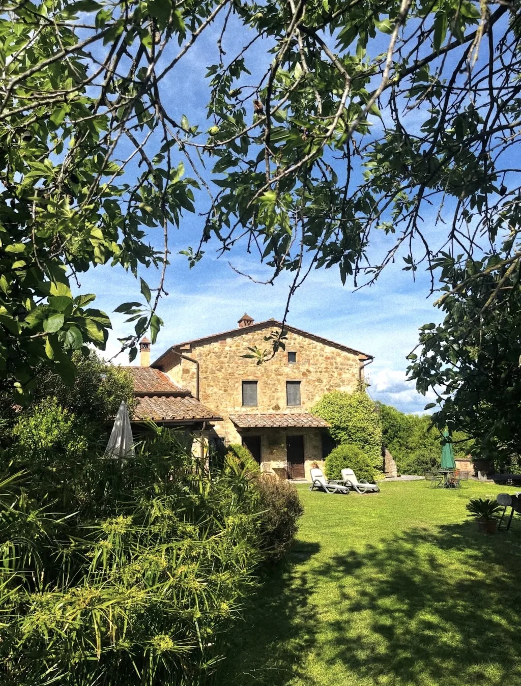The Casale, the farmhouse at the heart of the estate, among the olive trees