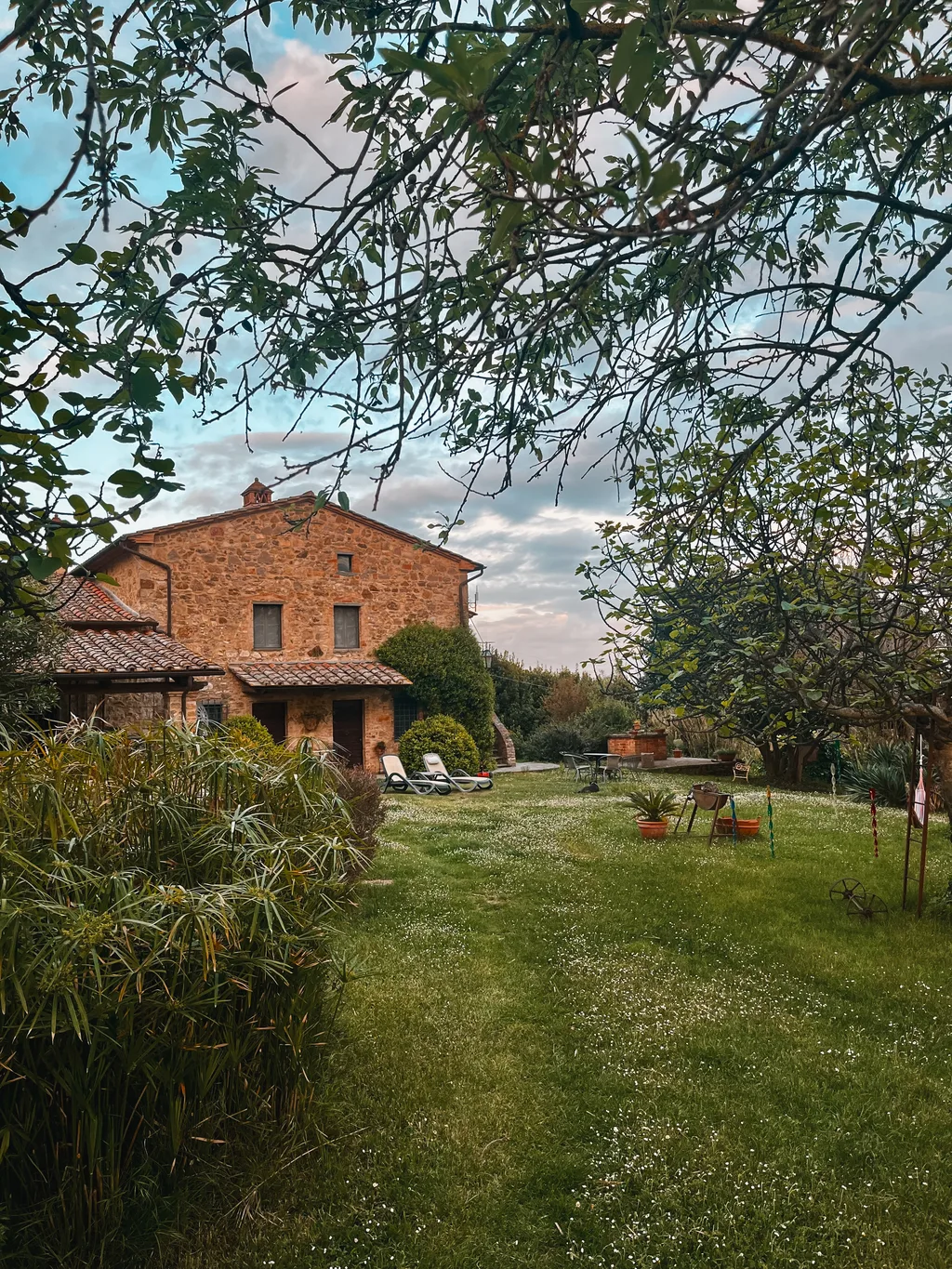 The Casale, among the olive trees