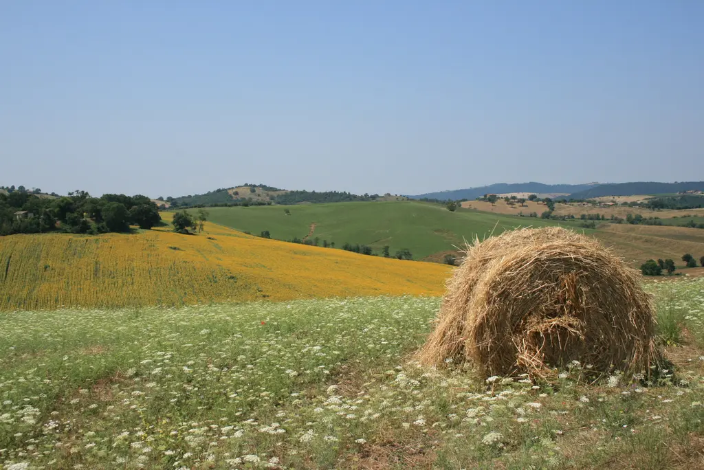 The Maremma countryside around the estate