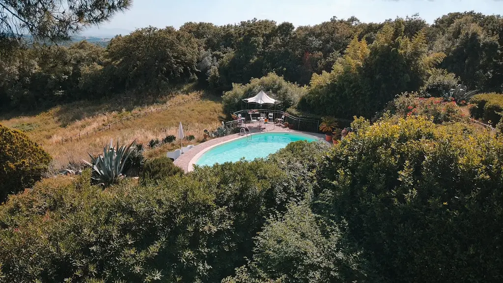 La piscina e il giardino