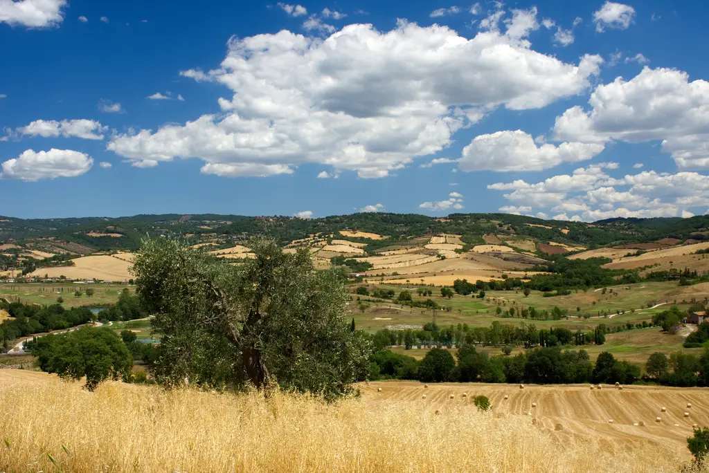 The countryside around the estate